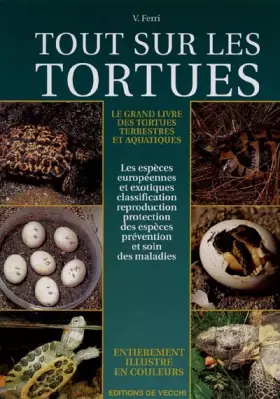 Couverture du produit · Tout Sur Les Tortues