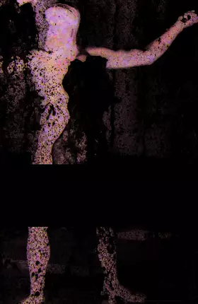 Couverture du produit · Journal d'un éco-hydrologiste de campagne (1970-2018)