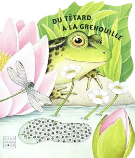 Couverture du produit · Du tétard à la grenouille