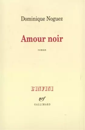 Couverture du produit · Amour noir - Prix Femina 1997