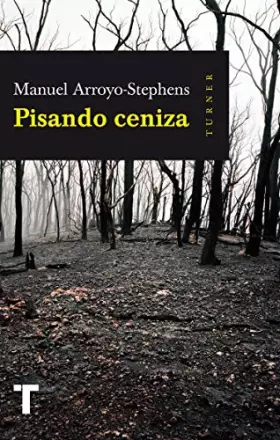 Couverture du produit · Pisando ceniza (SIN COLECCION)