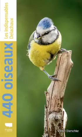 Couverture du produit · 440 oiseaux (nvelle éd)