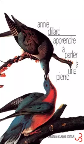 Couverture du produit · Apprendre à parler à une pierre