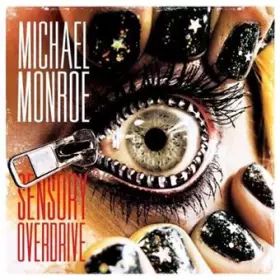 Couverture du produit · Sensory Overdrive