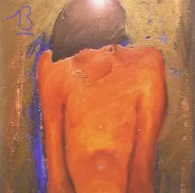 Couverture du produit · 13