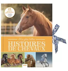 Couverture du produit · MES PLUS BELLES HISTOIRES DE CHEVAUX (NOUVELLE EDITION): 15 POSTERS DETACHABLES ! ET UN LIVRE A TRANSFORMER EN CARTON A DESSIN