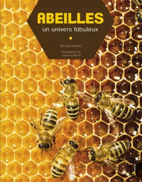 Couverture du produit · Abeilles, un univers fabuleux
