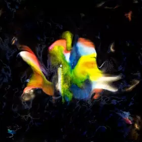 Couverture du produit · Contrebande 02 Le Disque de l Ete