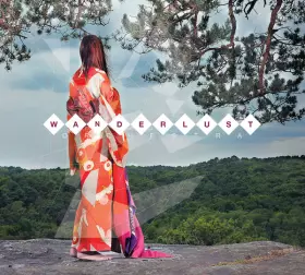 Couverture du produit · Wanderlust Orchestra (Not All Those Who Wander Are Lost)