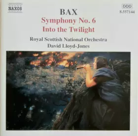Couverture du produit · Symphony No. 6, Into The Twilight