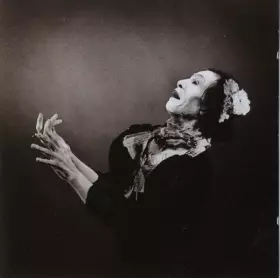 Couverture du produit · The Crying Light