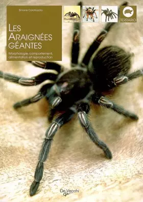 Couverture du produit · Les araignées géantes