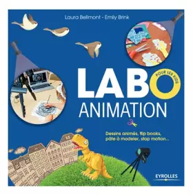 Couverture du produit · Labo animation: Dessins animés, flipbooks, pâte à modeler, stop motion...