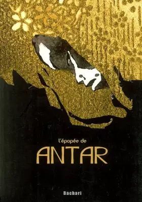 Couverture du produit · L'épopée de Antar