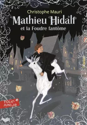 Couverture du produit · Mathieu Hidalf - 2 : Mathieu Hidalf et la Foudre fantôme - Folio Junior - A partir de 10 ans