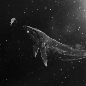 Couverture du produit · Sing For You