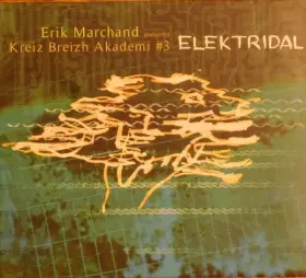 Couverture du produit · Elektridal