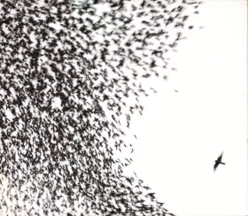 Couverture du produit · Sky Blue Sky