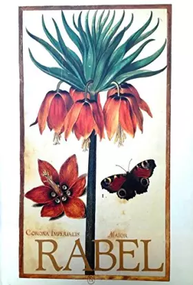 Couverture du produit · Daniel Rabel : cent fleurs et insectes, collection Bibliothèque Nationale Paris