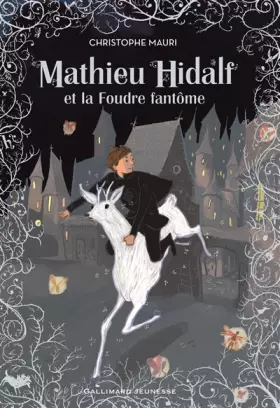 Couverture du produit · Mathieu Hidalf, 2 : Mathieu Hidalf et la Foudre fantôme