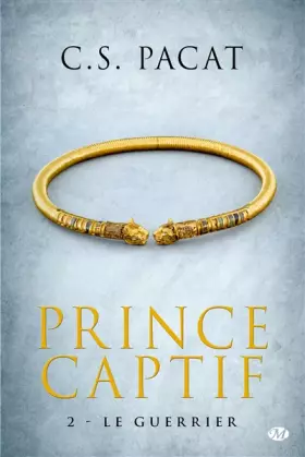 Couverture du produit · Prince Captif, Tome 2: Le Guerrier