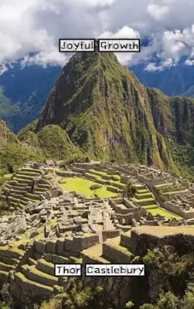 Couverture du produit · Joyful Growth