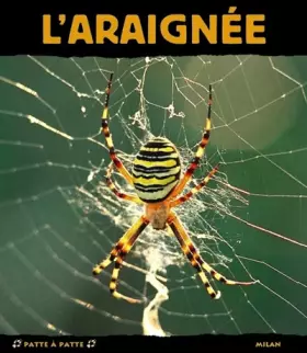 Couverture du produit · L'Araignée : Petite Fée de la soie