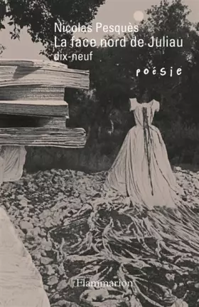 Couverture du produit · La face nord de Juliau: Dix-neuf
