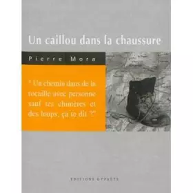 Couverture du produit · Un caillou dans la chaussure