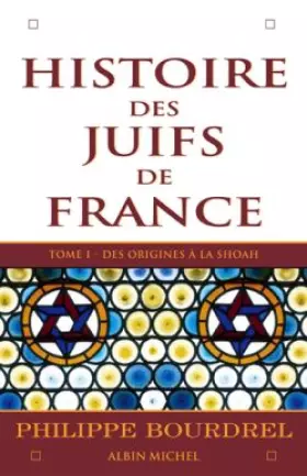 Couverture du produit · Histoire des juifs de France, tome 1 : Des origines à la shoah