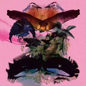 Couverture du produit · Rojus (Designed To Dance)