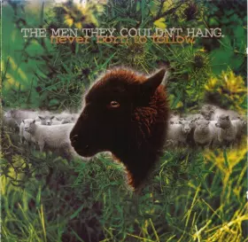 Couverture du produit · Never Born To Follow