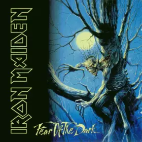 Couverture du produit · Fear Of The Dark