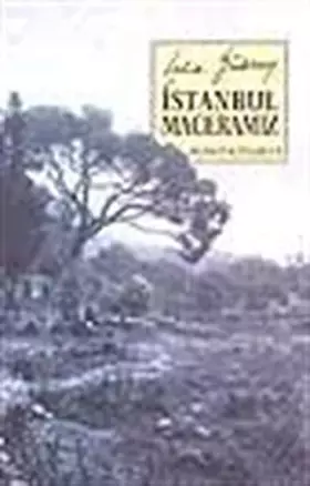Couverture du produit · İstanbul maceramız (Turkish Edition)