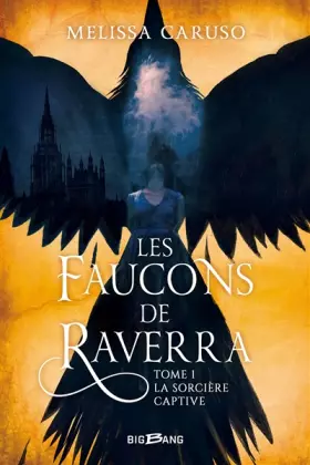 Couverture du produit · Les Faucons de Raverra, T1 : La Sorcière captive