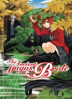 Couverture du produit · The ancient magus bride T03 (03)
