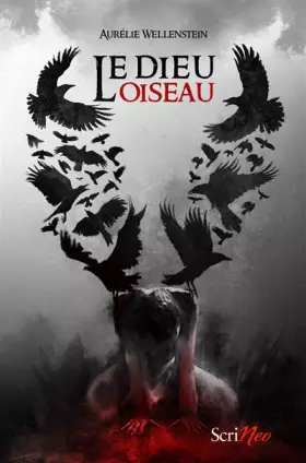 Couverture du produit · Le Dieu oiseau