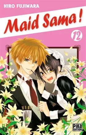 Couverture du produit · Maid Sama ! T12