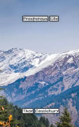 Couverture du produit · Prosperous Life