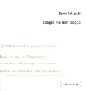 Couverture du produit · Adagio ma non troppo