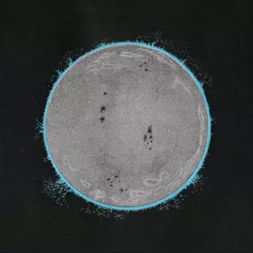 Couverture du produit · Vibe Killer