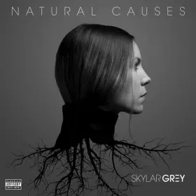 Couverture du produit · Natural Causes