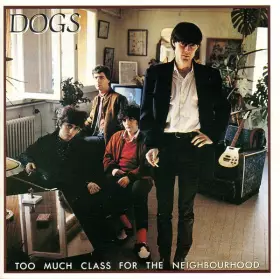 Couverture du produit · Too Much Class For The Neighbourhood