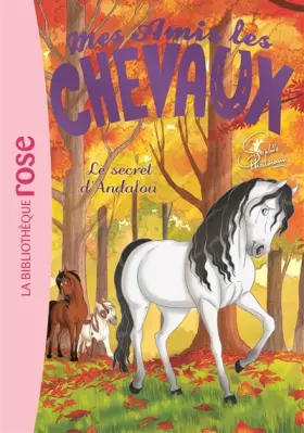 Couverture du produit · Mes Amis les Chevaux - Volume 19 - Le Secret d'Andalou