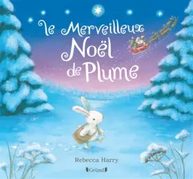 Couverture du produit · Le merveilleux Noël de Plume – Album jeunesse avec effet argenté – À partir de 3 ans