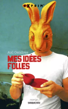 Couverture du produit · Mes idées folles