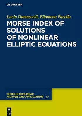 Couverture du produit · Morse Index of Solutions of Nonlinear Elliptic Equations (De Gruyter Series in Nonlinear Analysis and Applications, 30)