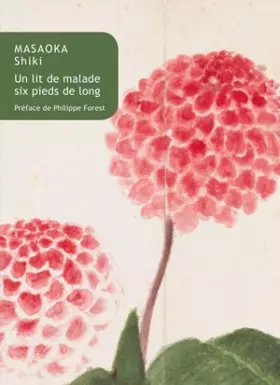 Couverture du produit · Un Lit de malade six pieds de long