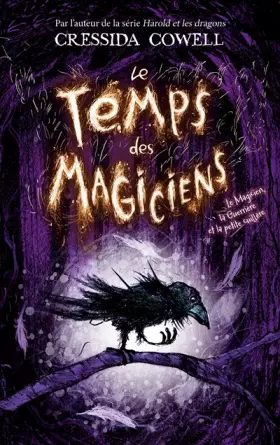 Couverture du produit · Le Temps des Magiciens - Tome 1 - Le Magicien, la Guerrière et la petite cuillère