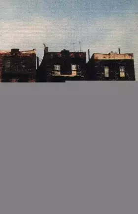 Couverture du produit · Le rat en flammes